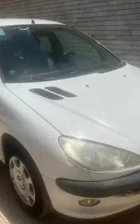 206 تیپ ۲ مناسب مصرف کننده