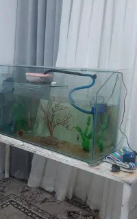آکواریوم کلبه ای زیبا کامل با وسایل