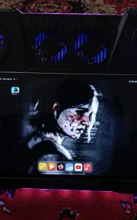 PAD 7