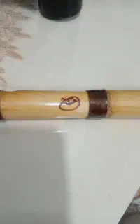 سازنی
