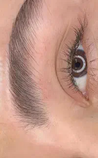 مدل میکروبلدینگ ابرو ،جهت تکمیل کار ،رودهن