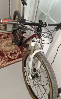 دوچرخه حرفه ای