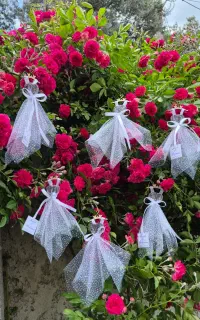 گیفت عروسی و جشن، تولد..