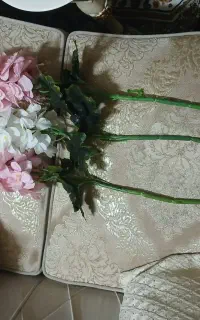 فقط ۶ ماه خریدم شاخه ای ۲۰۰زیر قیمت