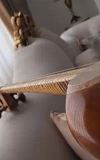 تار۳۰ ساله بدون مهر  بسیار خوش صدا