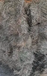 فروش یونجه