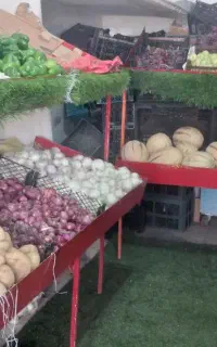 وسایل میوه وتره بارفروشی
