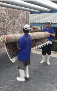 کارگر قالیشویی