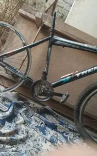 تنه دوچرخه