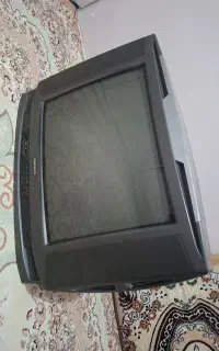 تلویزیون