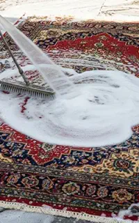 قالی می شورم باقیمت بسیارمناسب و ارزانتر از همه جا