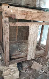 دوعدد لانه