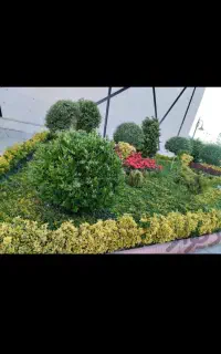 باغبانی و فضای سبز حرفه ای