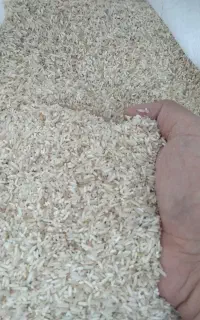 ۸۰ کیلو برنج سرلاشه فجر درشت ۲۶۵ با ضمانت