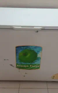 فریزر خارجی