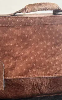 کیف اداری با چرم شترمرغ