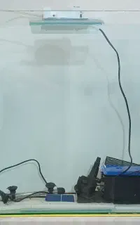 اکواریوم
