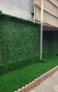 چمن مصنوعی، فنس دیواری سبز