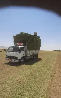 خاور هیوندا