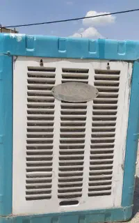 کلورابی