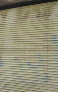 حراج واقعی   مسکو نی - تجاری  حراج واقعی