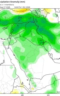 پخش کننده تراکت تبلیغات هستیم بوشهر برازجان