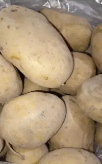 سیب زمینی تازه شهر بهار