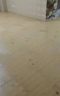 نظافت ساختمان