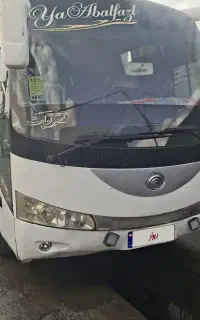 فروش میدل باس یاتونگ
