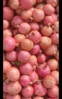 انار آب دار