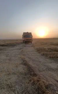 یونجه وپخل
