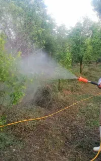 سمپاشی باغات و منازل