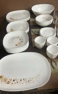 سرویس آرکوپال لومینارک
