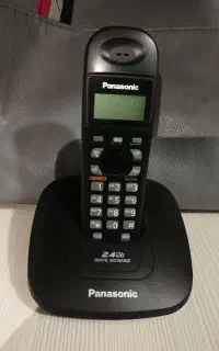 بی سیم پاناسونیک اصل