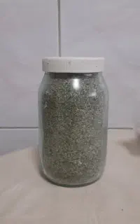 فروش پونه کوهی