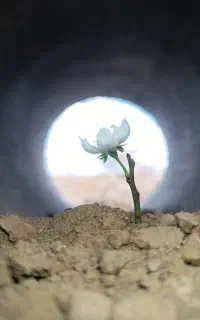 تدریس خصوصی دبستان