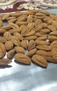 خرید انواع بادام