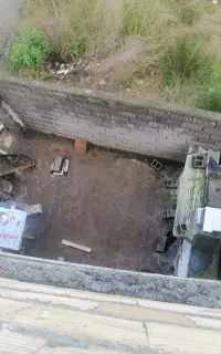 3 عدد لونه مرغ بزرگ وکوچک بفروش میرسد