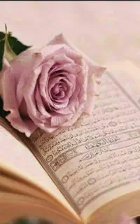 ختم قرآن وانجام نذورات دیگر