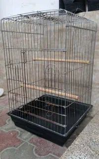 قفس بزرگ
