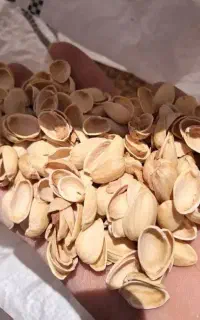 خرید پوست پسته و بادام
