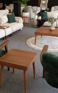 فروشگاه مبلمان الزهرا  ( تخفیف ویژه ) انواع مبل