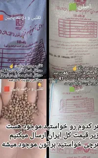 کود دی آمونیوم فسفات شرکت رازی درجه یک ریشه.تریپل