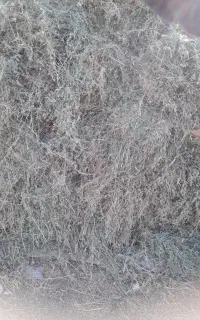 یونجه