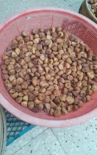 انجیرخشک