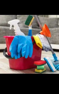 خانم برای نظافت منزل لازم دارم