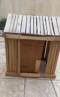 لونه سگ یا برا مرغ و خروس