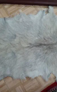 پادری پوست بز
