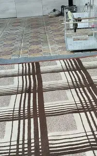 فروش به جفت طوطی برزیلی با قفس همه چیزهاش