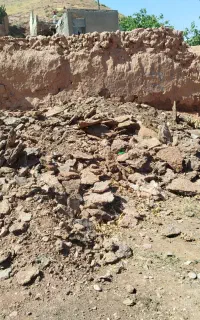 کود گوسفندی درجه یک